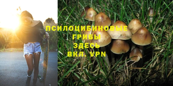 прущий лед Абдулино