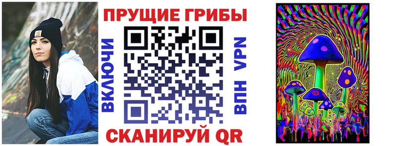Псилоцибиновые грибы Psilocybe  купить  цена  Черемхово 
